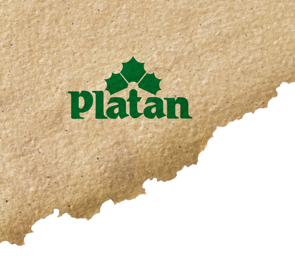 Platan logo