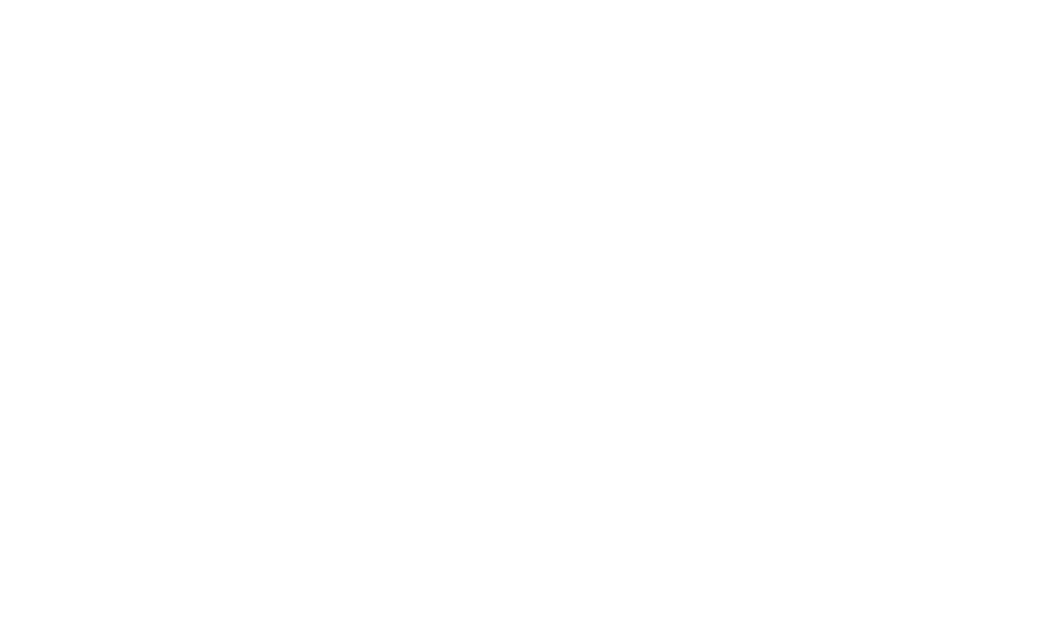 Pivo Platan