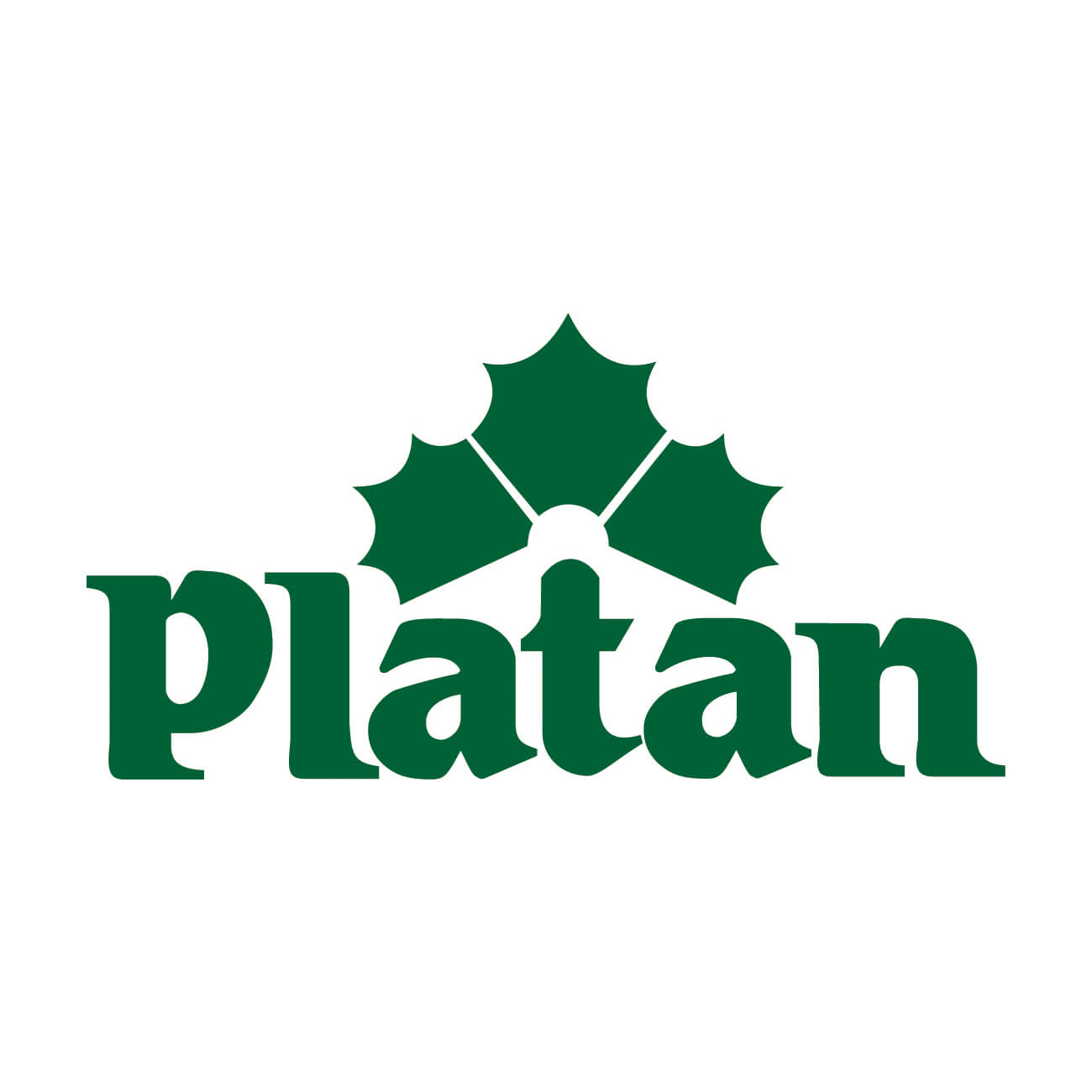 Pivo Platan